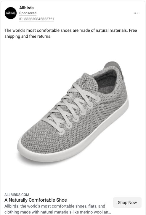 Allbirds Ad Multichannel Marketing