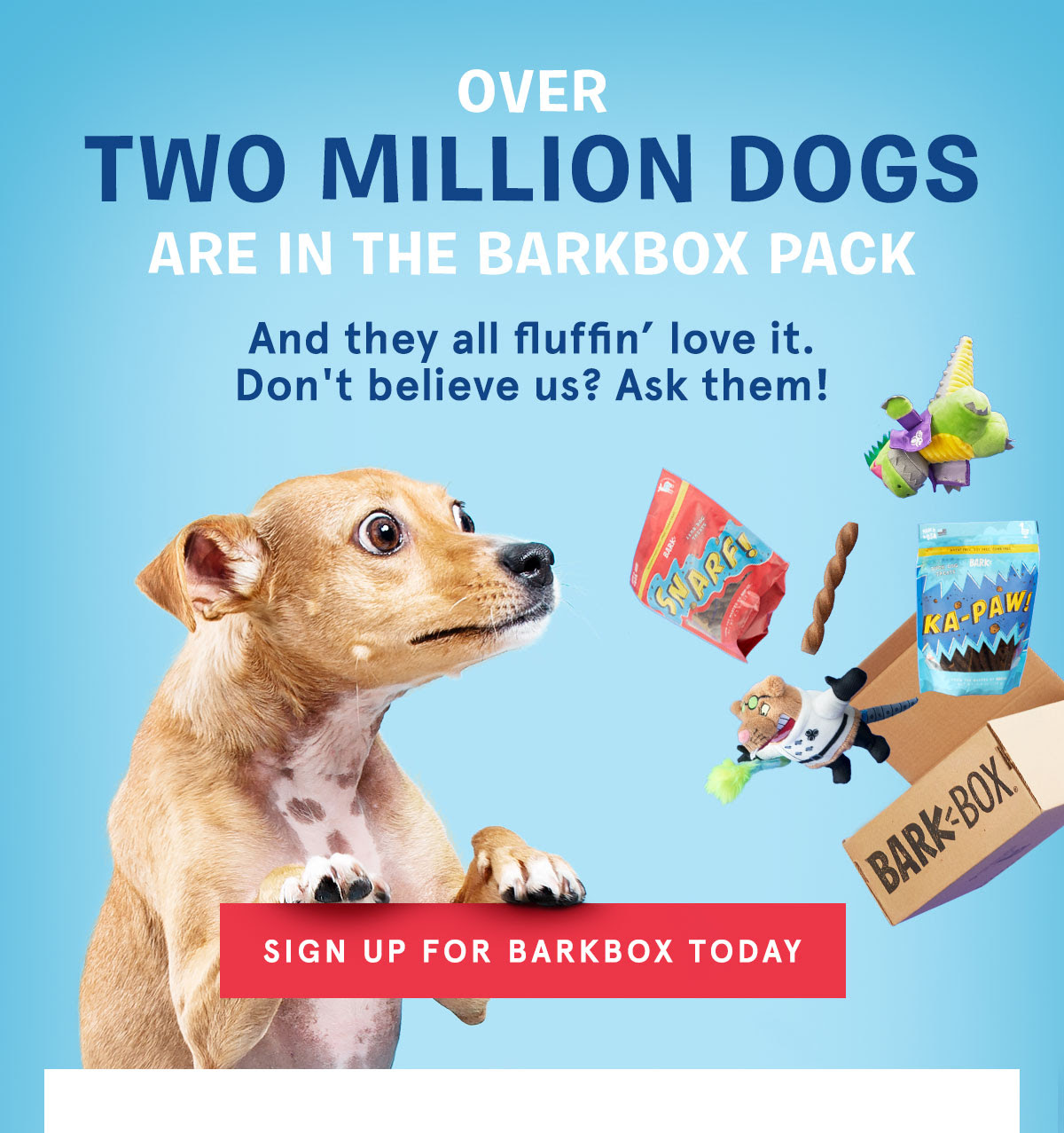 BarkBox Email Example