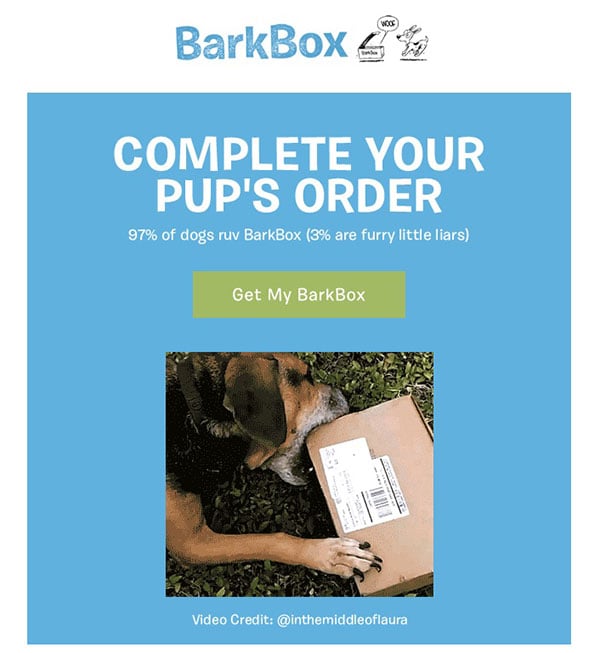 Barkbox Buyer Personas Inbound Marketing