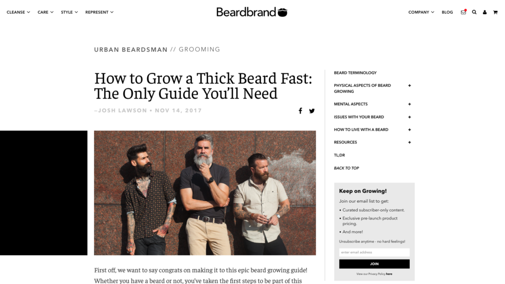 BeardBrand Guide Content Marketing Small Business Marketing Strategies