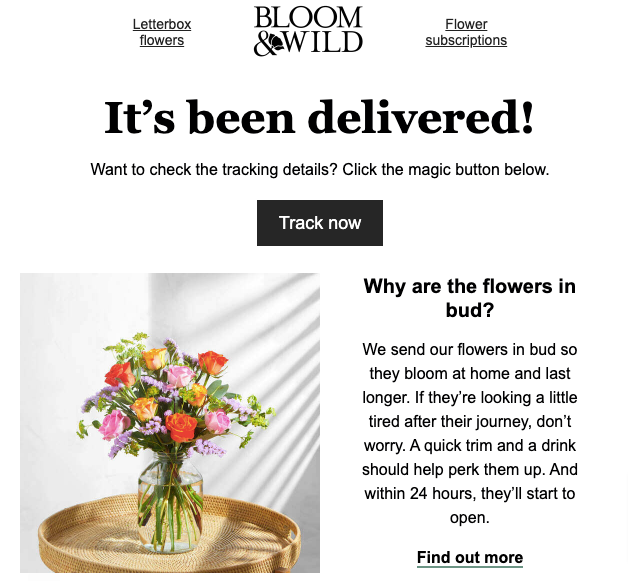 Bloom _ Wild Ecommerce Retention Rate