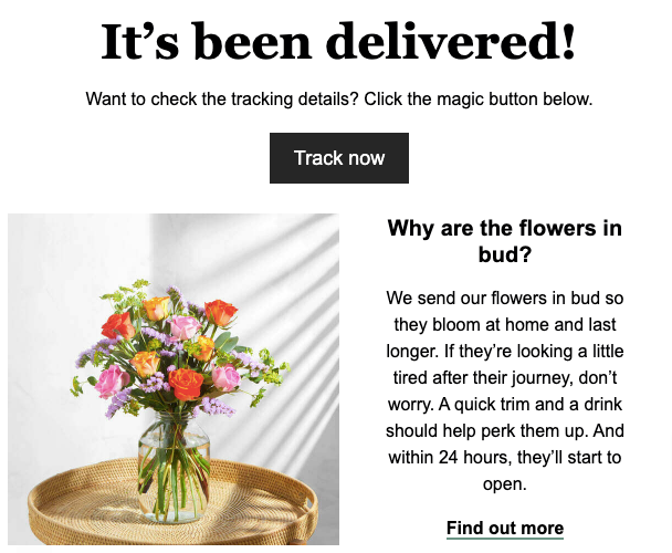 Bloom and Wild Delivery Confirmation Repeat Purchase