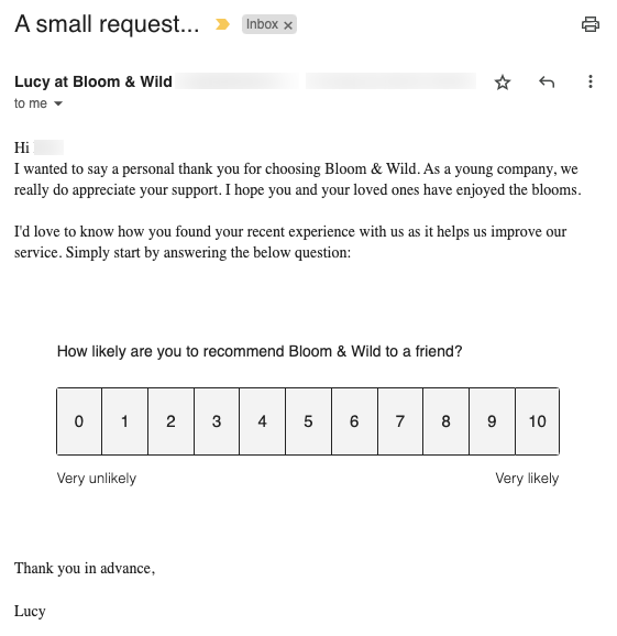 Bloom and Wild Feedback Request Repeat Purchase