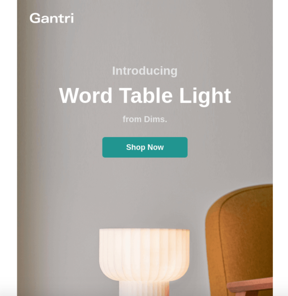 Dims. Product Launch Email Example