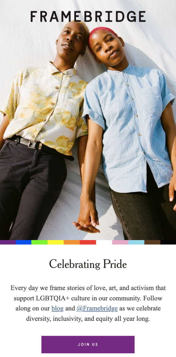 Framebridge Pride Campaign June Newsletter Ideas