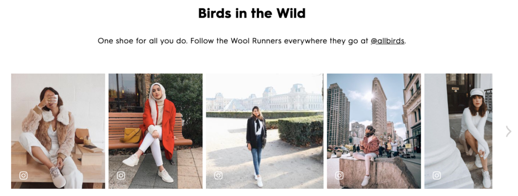 7 Allbirds User Generated Content