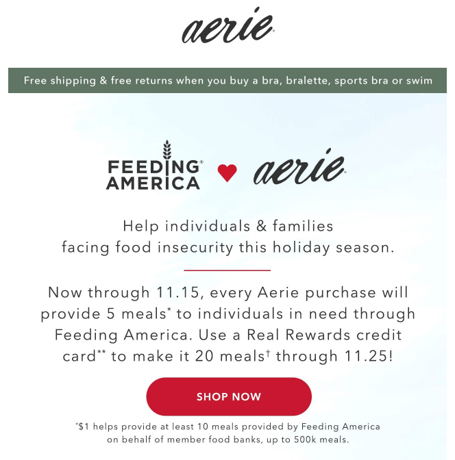 Aerie Social Responsibility Email