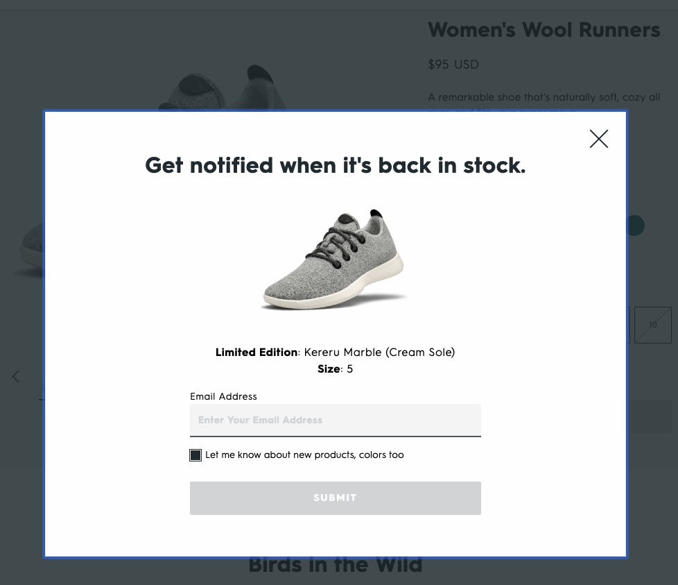 Allbirds-Out-of-Stock-Notifications