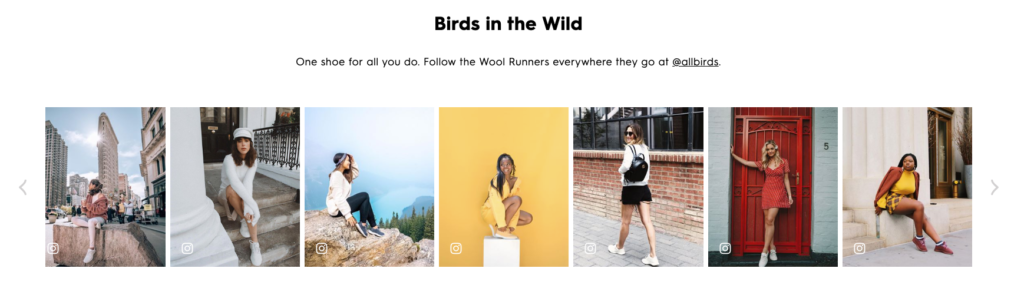 Allbirds User Generated Content