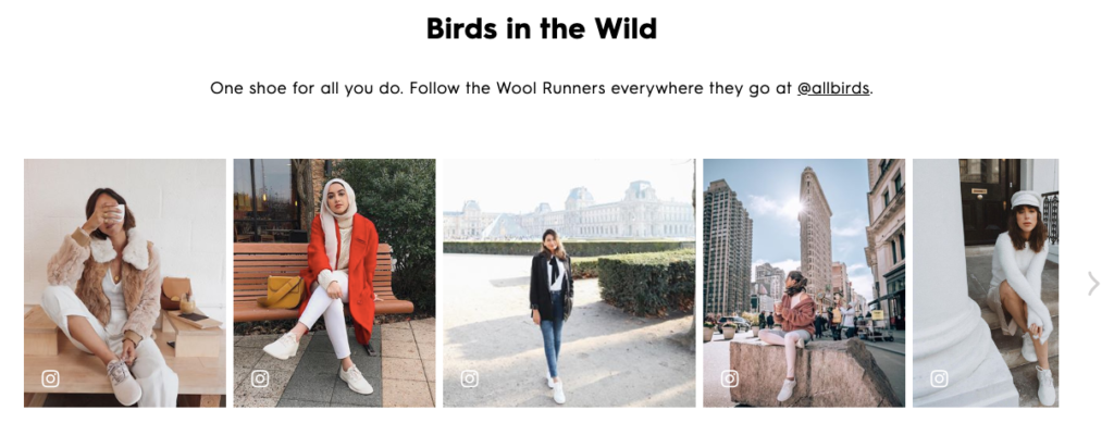 Allbirds User Generated Content