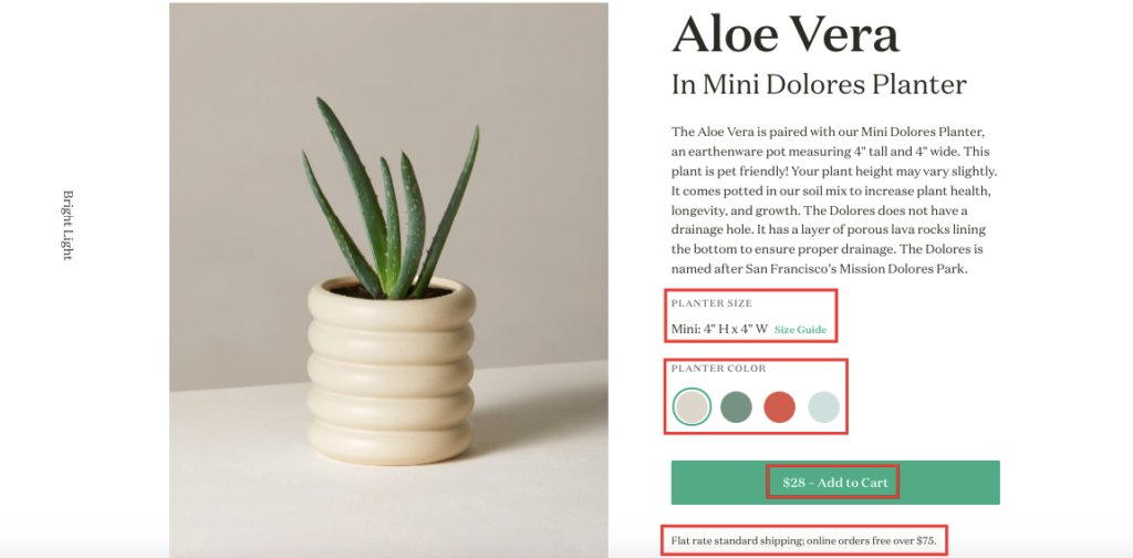 Aloe Vera