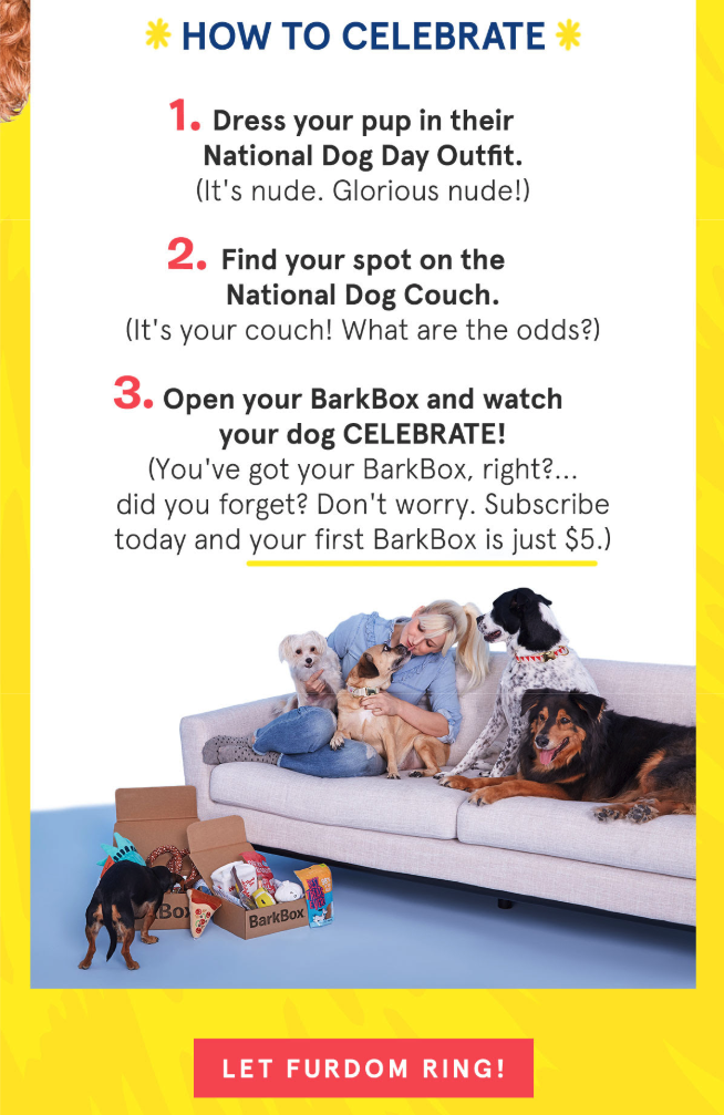 BarkBox Sales Promotion Email