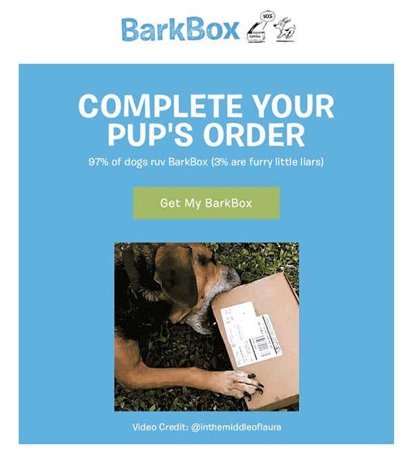 BarkBox Email
