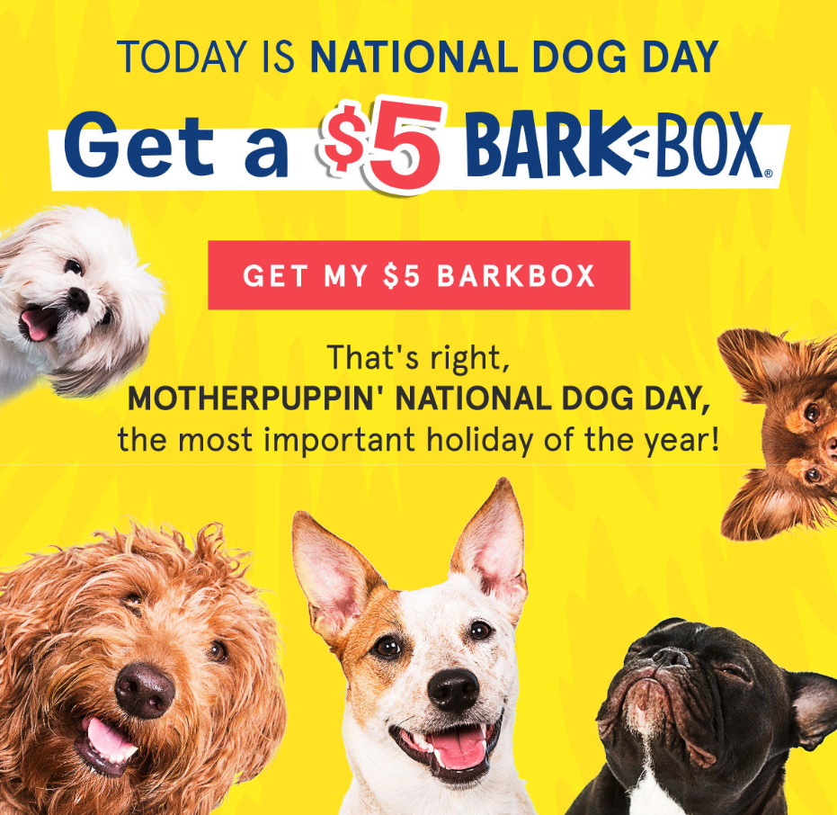 BarkBox Sales Promotion Email Excerpt