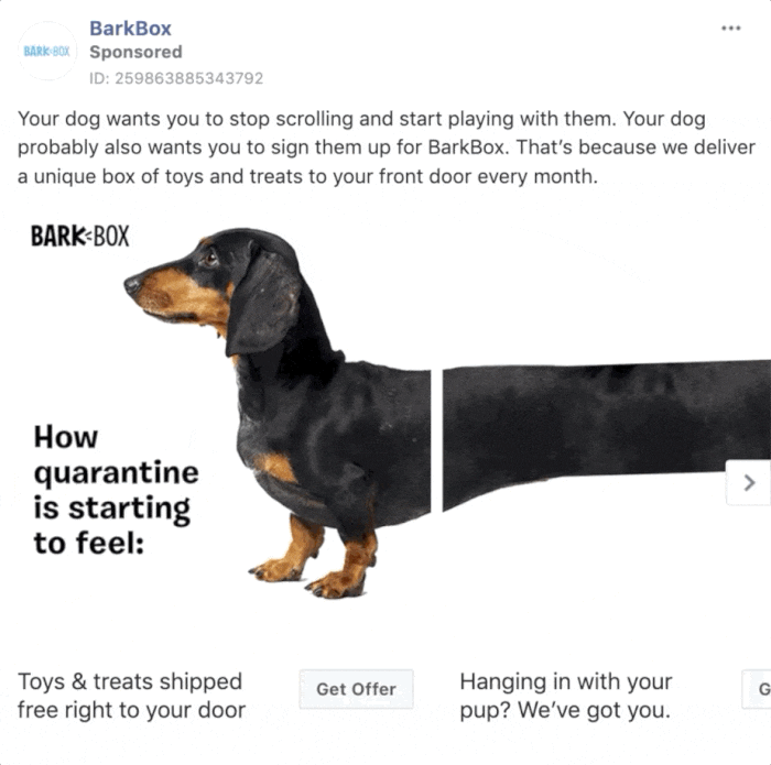 BarkBox Facebook Ad