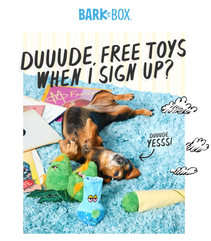 BarkBox Funny Email 1