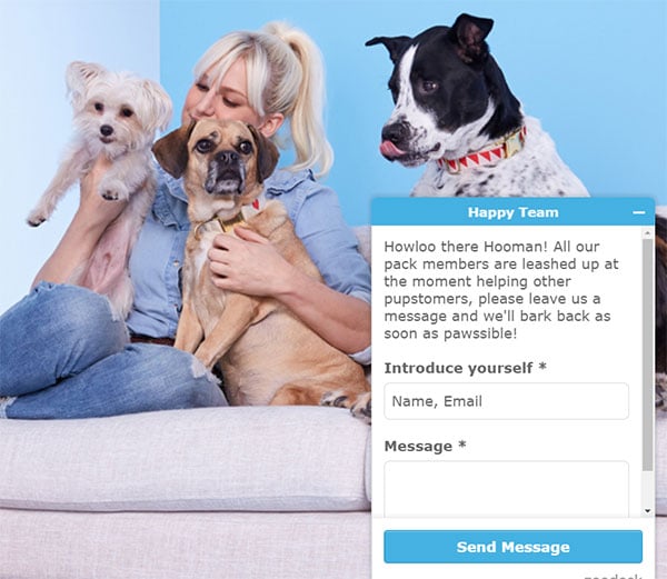 BarkBox Live Chat