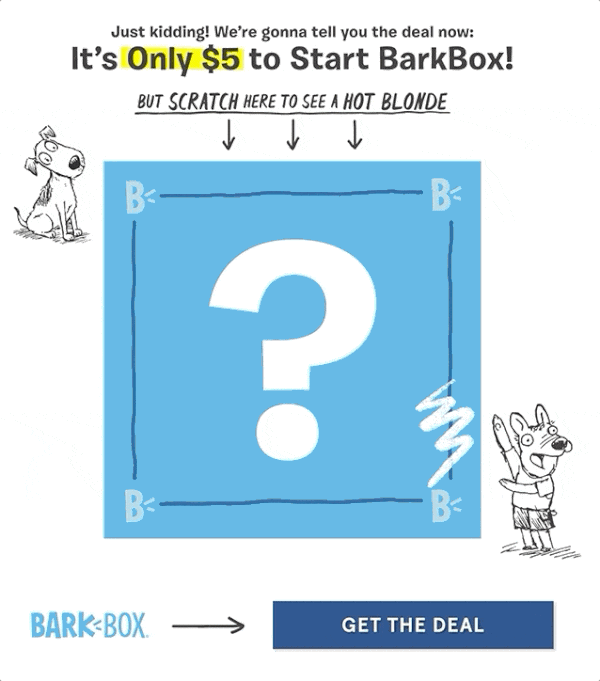 BarkBox Mystery Deal 2