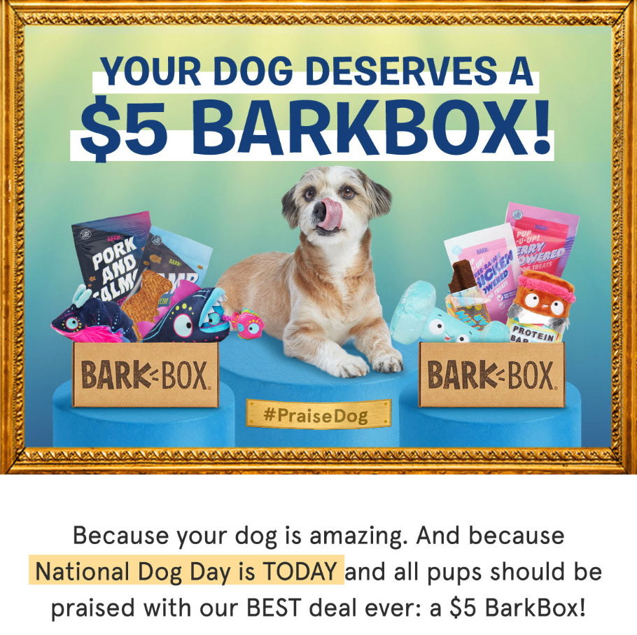 BarkBox Seasonal Email 2