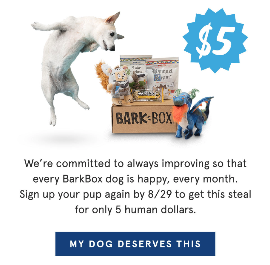 BarkBox Seasonal Email 3