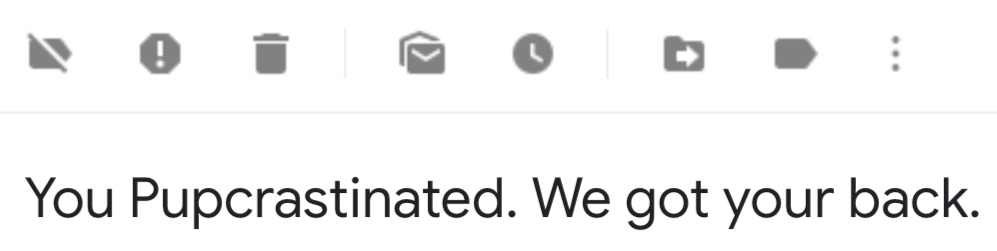 BarkBox Subject Line