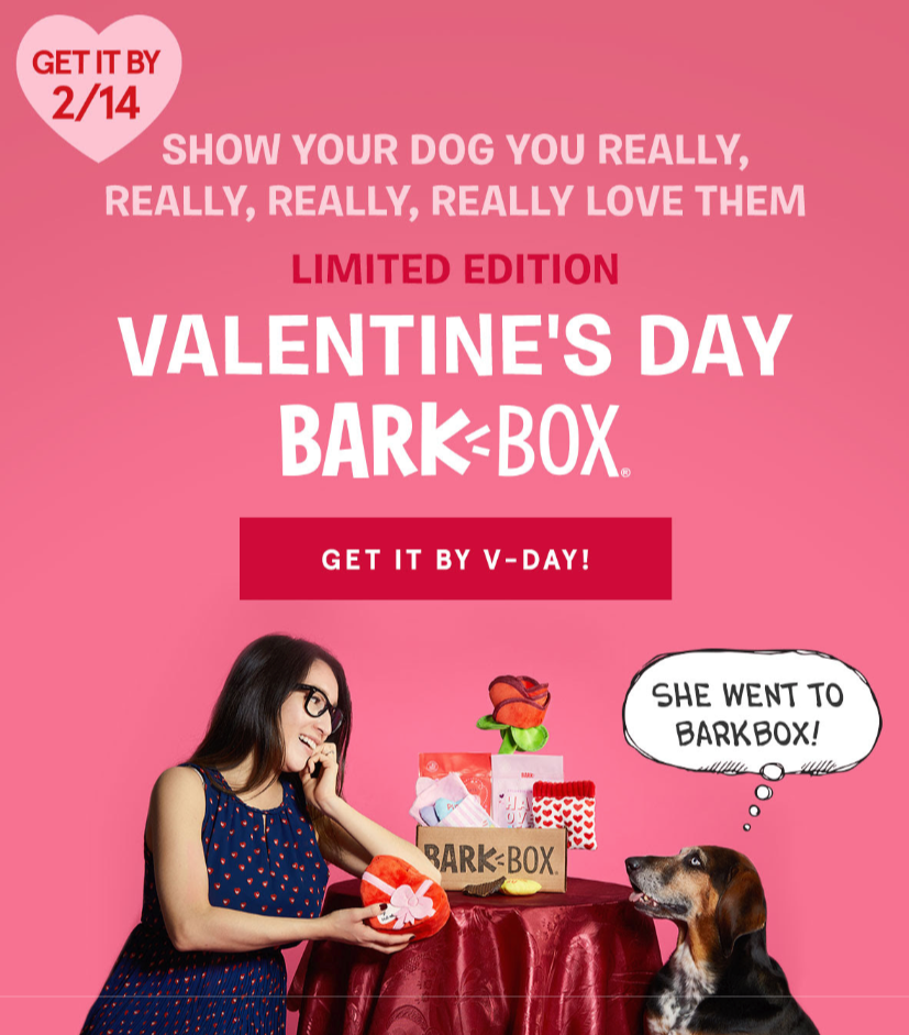 BarkBox Valentines Day Email