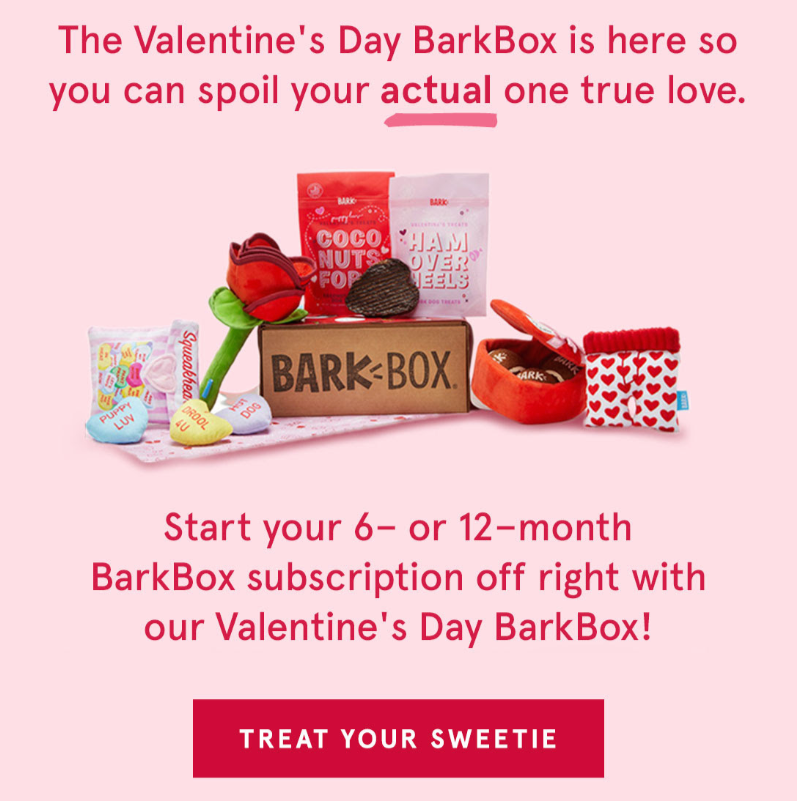 BarkBox Valentines Day Email 2