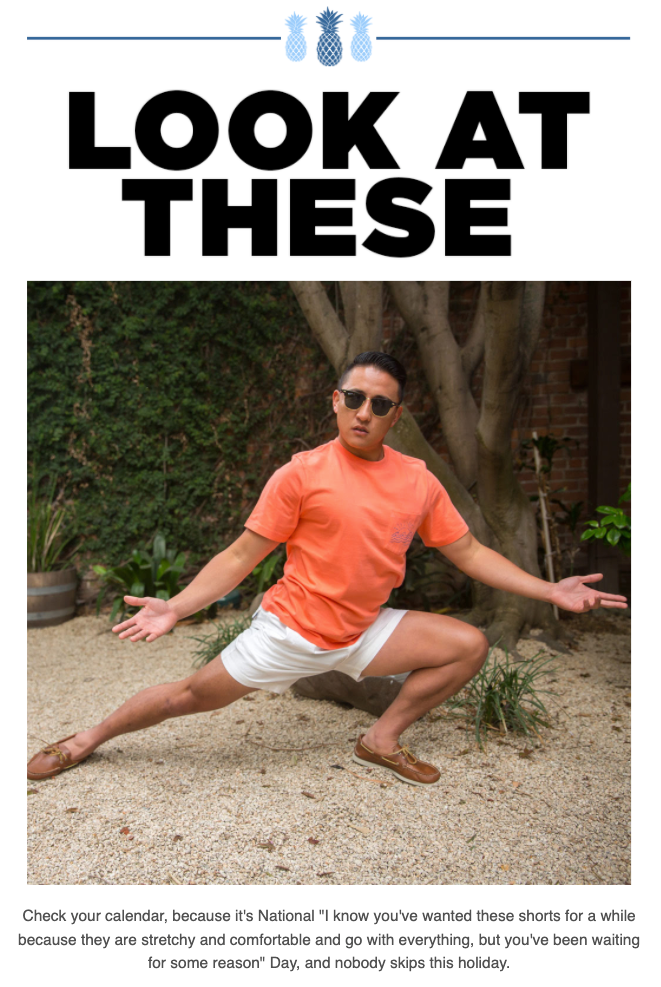 Chubbies Funny Email 3