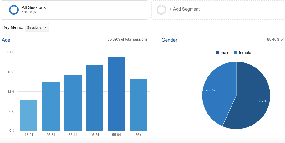Demographics Overview in Google Analytics