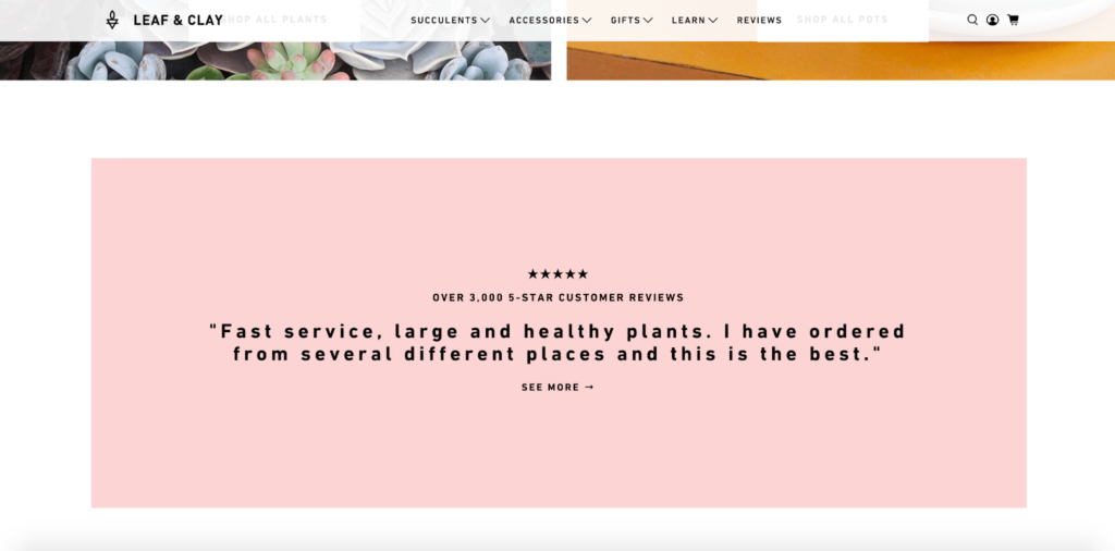 Leaf & Clay Homepage Example 4