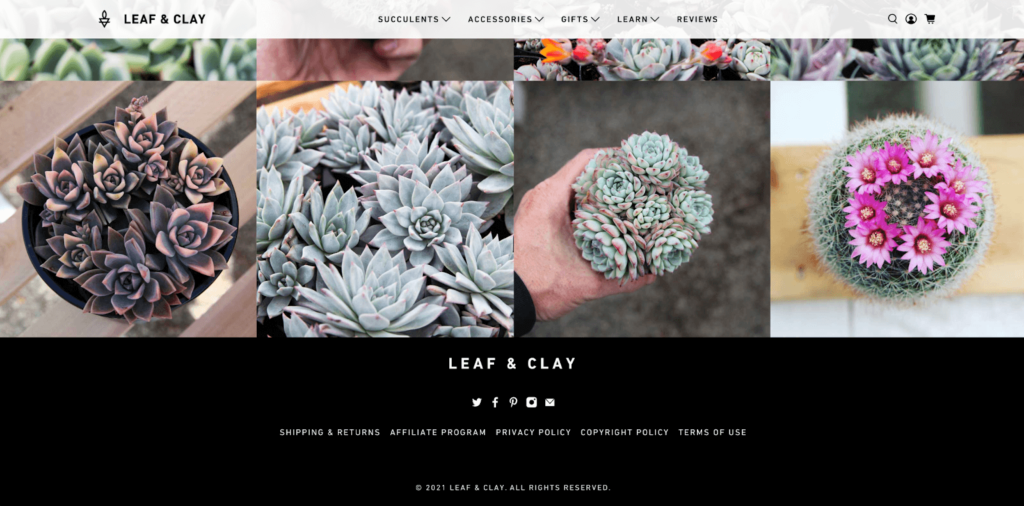 Leaf & Clay Homepage Example 7