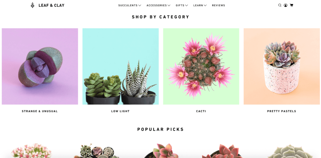 Leaf & Clay Homepage Example 5