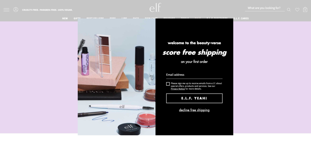 Elf Website Popup