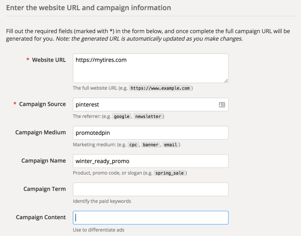 Enter The Website URL and Campaign Information