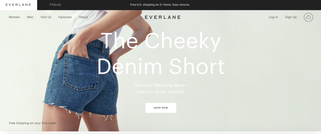 Everlane 2