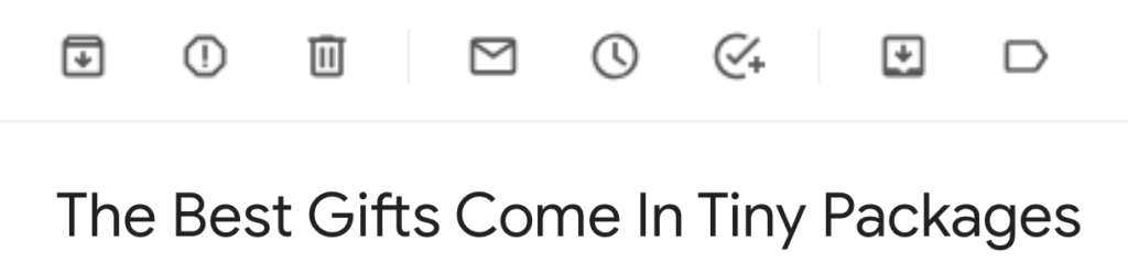 Everlane Gift Promotion Subject Line