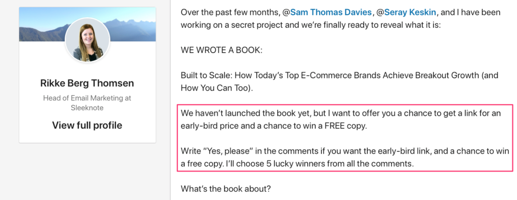 Excerpt from Rikke_s LinkedIn Post