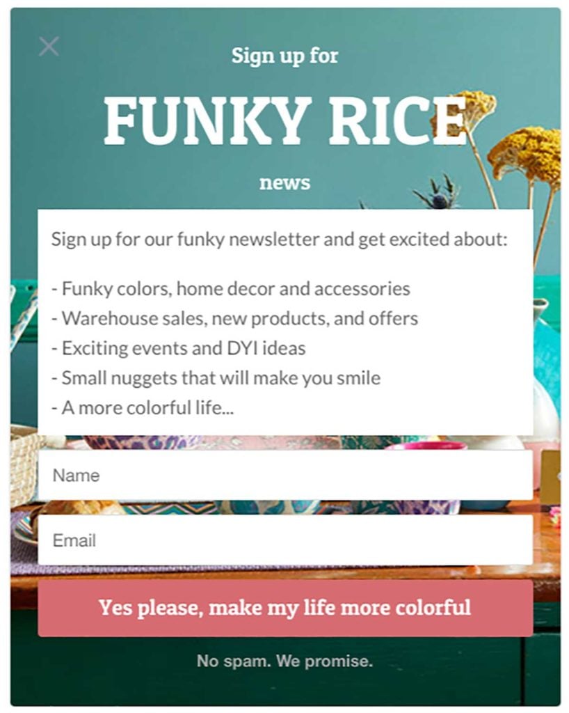 Funky-RICE-Newsletter-Campaign