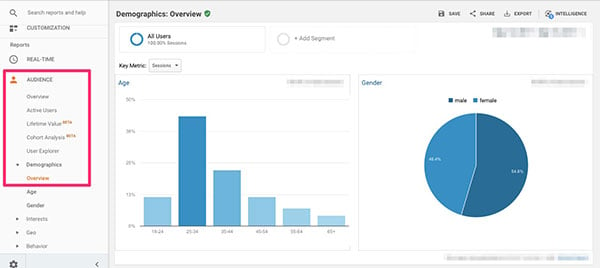 Google Analytics Demographic Data