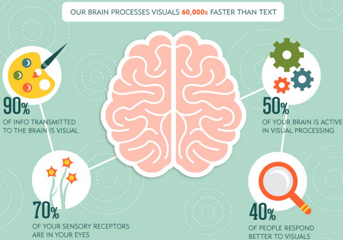 How Our Brain Processes Visuals