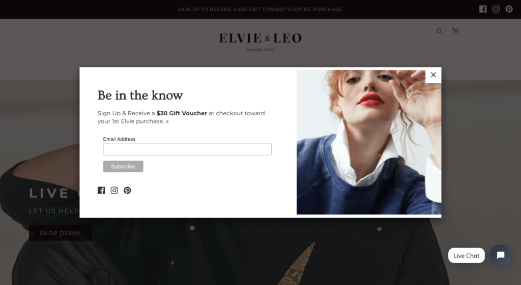 Elvie & Leo Newsletter Popup Example