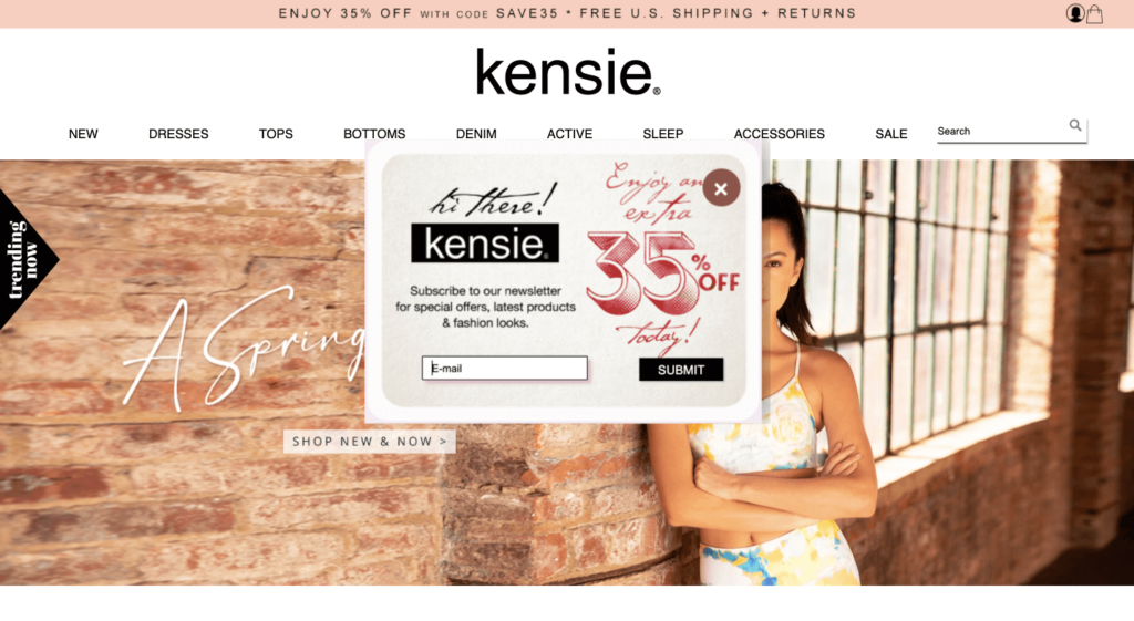 Kensie Newsletter Popup Example