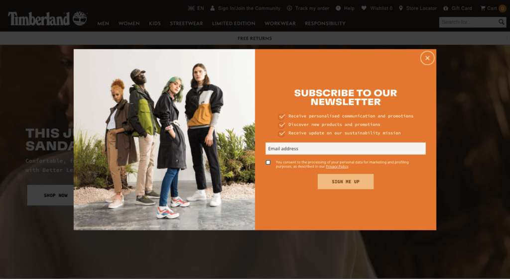Timberland Newsletter Popup Example