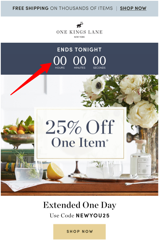 One Kings Lane Email Countdown Timer