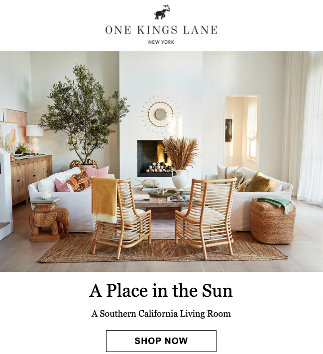 One Kings Lane Inspiration in Email Newsletter