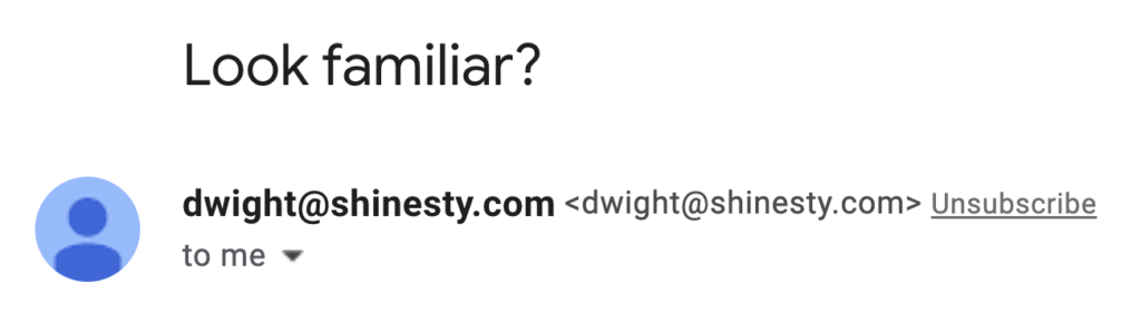 Shinesty Funny Browse Abandonment Subject Line