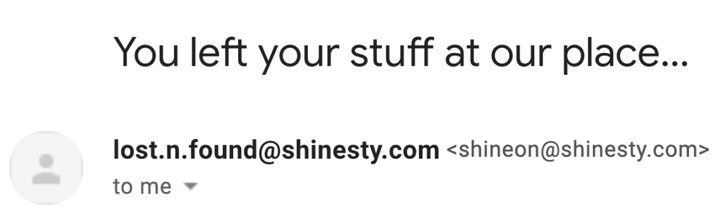 Shinesty-Subject-Line-1024x305-2