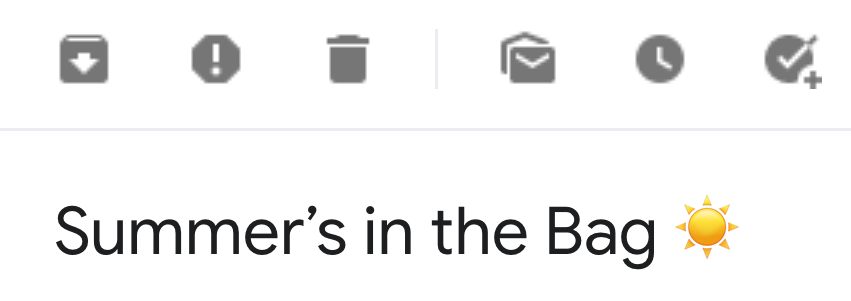 Snowe Summer Email Subject Line