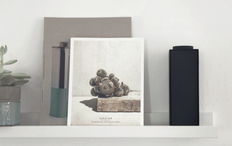 Switch Portable Bluetooth Speaker on Bookshelf