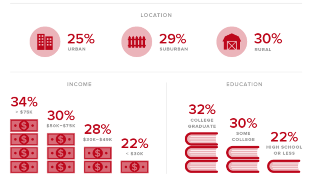 The-Demographics-of-Social-Media-Users